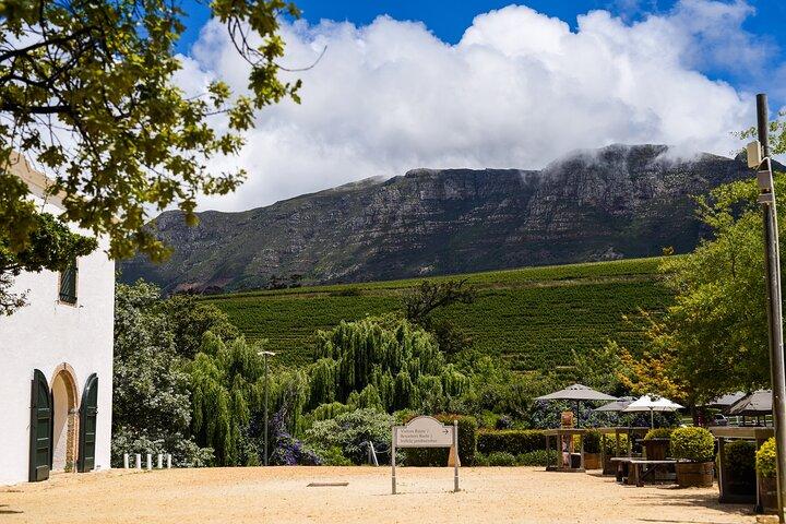 Constantia Half-Day Wine Tour & Tastings