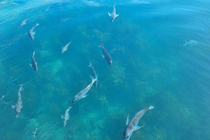 Cathedral Cove 2 Hour Guided Tour Explore Marine Wonders