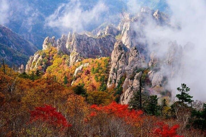 Mt.Seorak & Naksan Temple Day Trip from Seoul