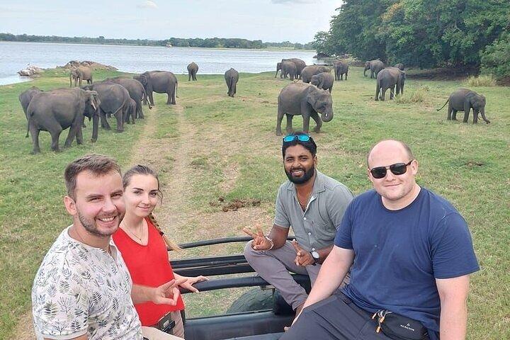 スリランカ10日間文化野生動物とビーチ