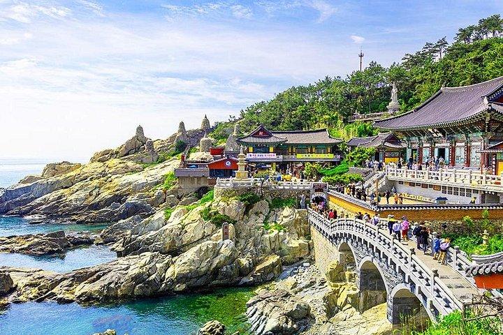 釜山観光：蒲川村＆海東龍宮寺＋ランチ