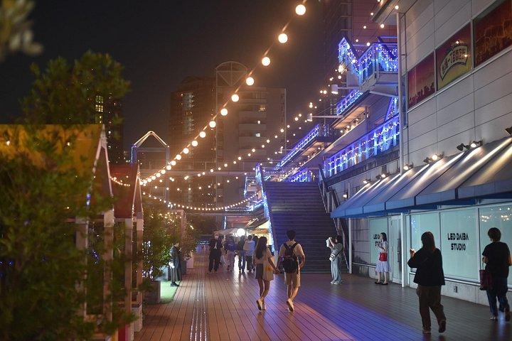 東京の夜プライベート運転ツアー（送迎および夕食付き）
