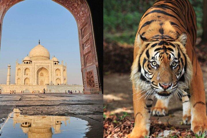ジム・コーベット国立公園を巡るゴールデン・トライアングル・ツアー8日間