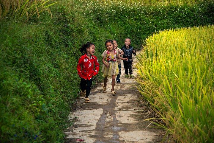 Sapa Half-Day Trekking : Stunning Rice Terraces & villaggio locale