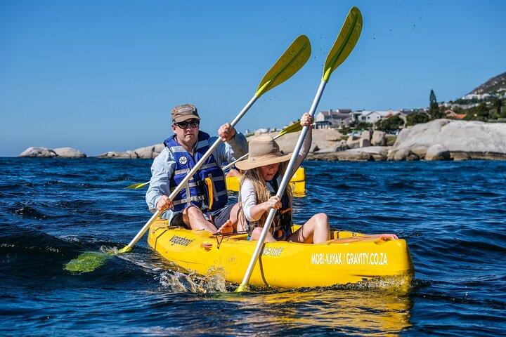 Vai in kayak ai pinguini a Simons Town