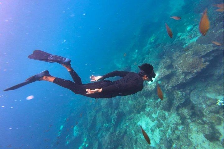 Phi Phi Îles Hors-bord Aventure au départ de Krabi