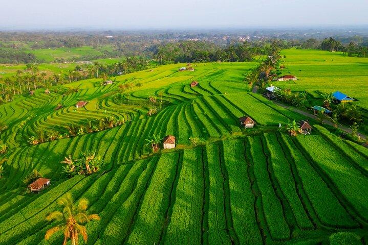 Bali Full-Day Tour: Ulun Danu, Rice Terraces & Tanah Lot Sunset