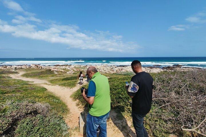 Rejser til Port Elizabeth Coast