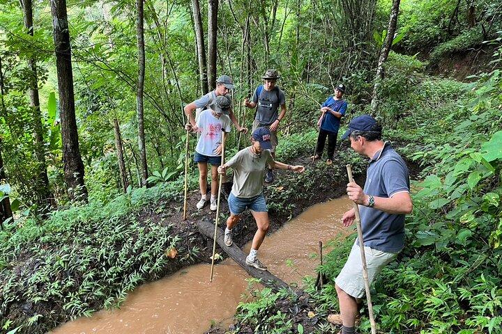Excursão de 1 dia de Trek and Sticky Waterfall em Chiang Mai