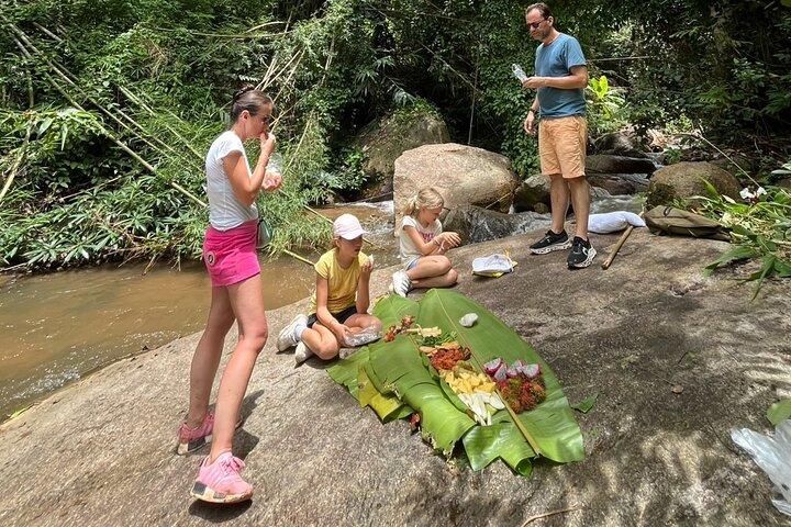 Excursão de 1 dia de Trek and Sticky Waterfall em Chiang Mai