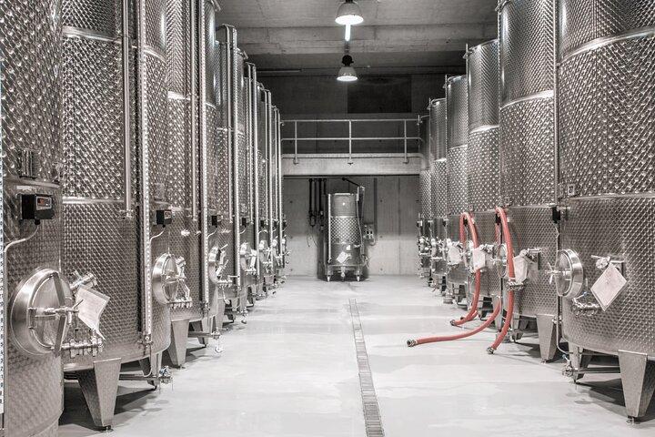 Private Wine Tasting Tour With Personal Driver in Alsace