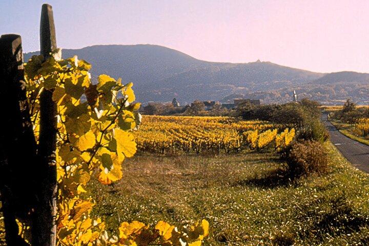 Private Wine Tasting Tour With Personal Driver in Alsace