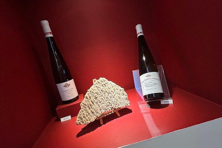 Private Wine Tasting Tour With Personal Driver in Alsace