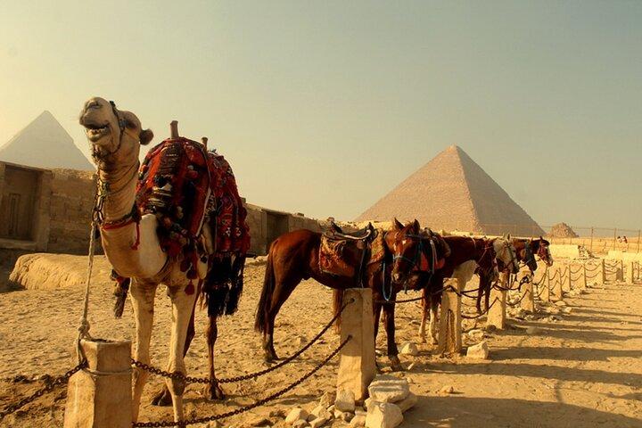 Hoteller i nærheden af Nile Jewel 5 Star Nile Cruise and the Red Sea
