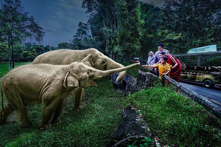Night Safari Singapore Skip the Line Billetter med sporvogn