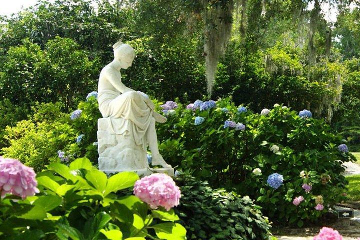 2 delle migliori piantagioni di Charleston in un tour