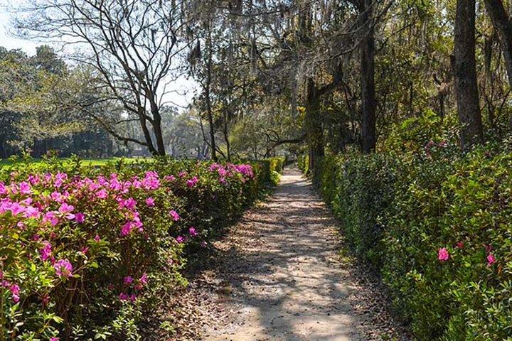 2 delle migliori piantagioni di Charleston in un tour