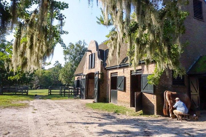 2 delle migliori piantagioni di Charleston in un tour