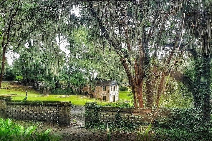 2 delle migliori piantagioni di Charleston in un tour
