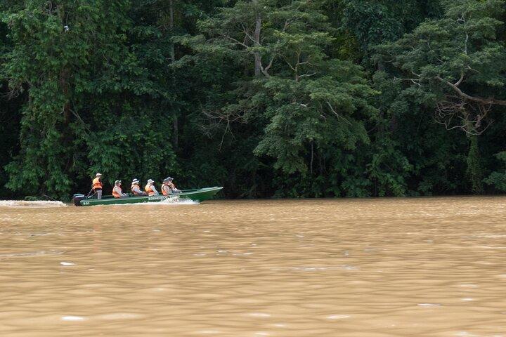 Sandakan: Gomantong Cave Echoes og Kinabatangan Cruise