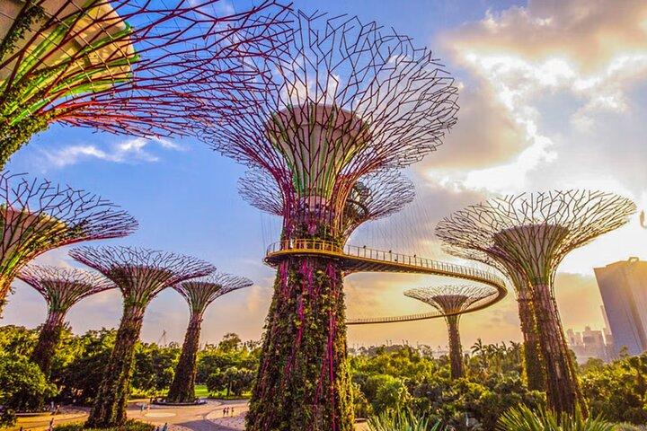 Gardens by the Bay Cloud Forest Flower Dome e Superalbero