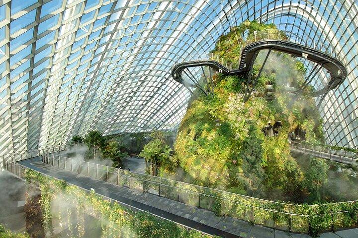 Gardens by the Bay Cloud Forest Flower Dome e Superalbero