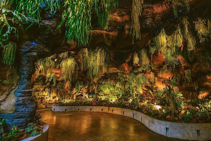 Gardens by the Bay Cloud Forest Flower Dome e Superalbero