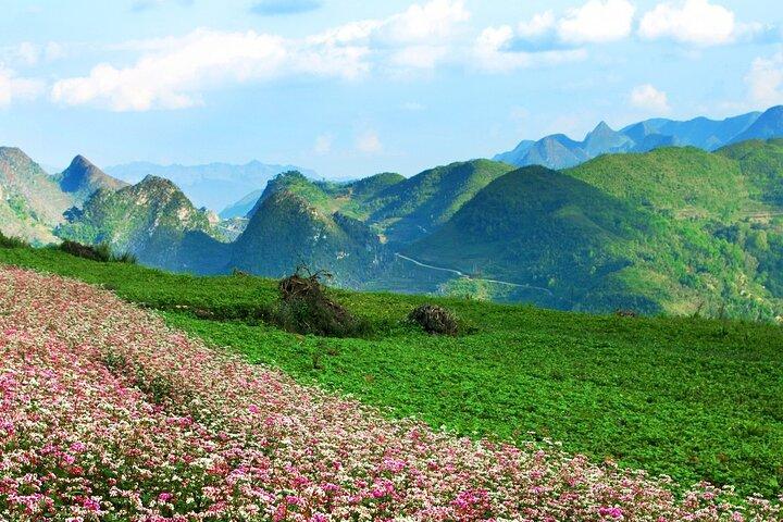 Tour di 4 giorni da Sapa a Ha Giang Loop