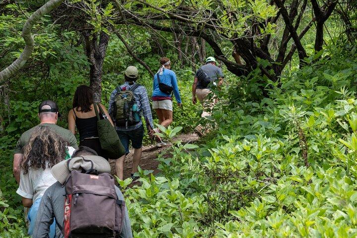 Hierve el Agua Mezza Giornata : Accesso Anticipato & Guida Personale + Pickup