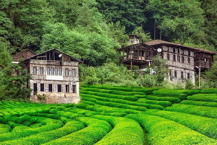 Uzungol Sumela Ayder Tour from Istanbul by Flight