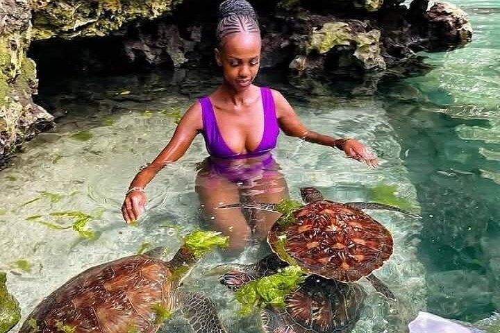 Zwemmen, glimlachen en zonsondergang Mnemba Island and Turtle Experience