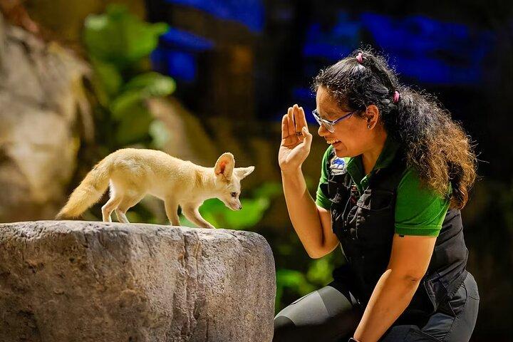 2 - Park Combo Night Safari + Singapore Zoo Tickets