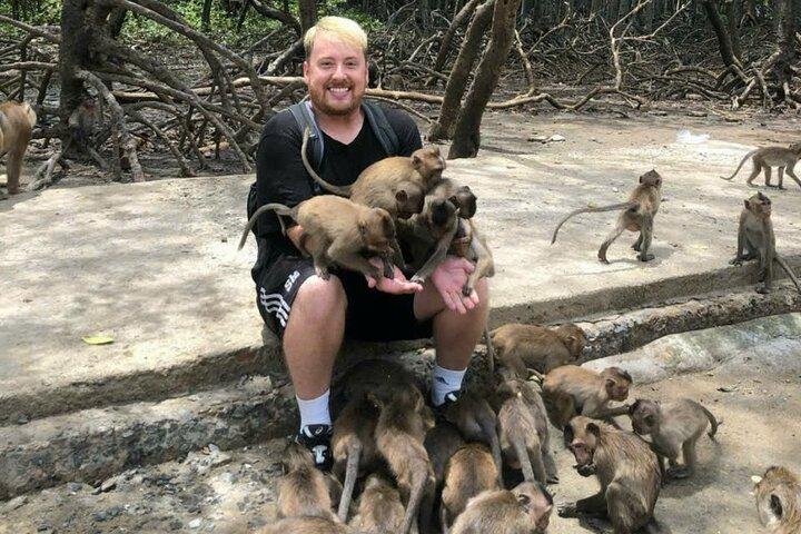 Eco-tour di Cần Giờ con scimmie, coccodrilli e storia della guerra