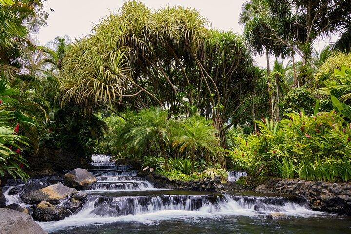 Arenal Volcano & Hot Springs privat tur från San José