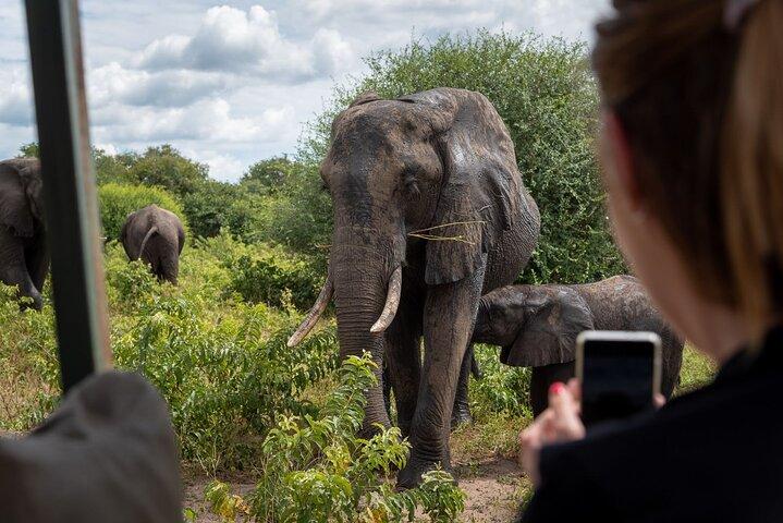 Fuld dag Chobe Private Tour