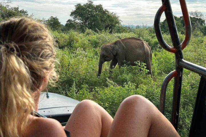 Udawalawe Nationaal Park Safari vanuit Mirissa of Weligama