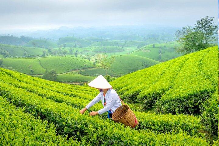 Privat dagstur till Chiang Rai med Gyllene Triangeln från Chiang Mai