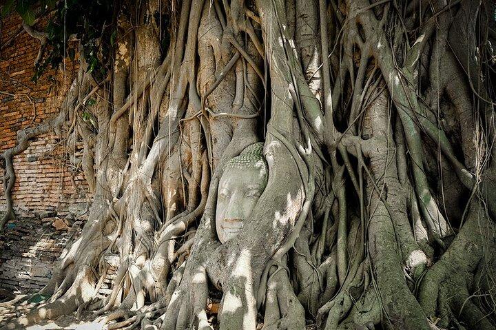 Private: Maeklong jernbanemarked og Ayutthaya fuld dagstur