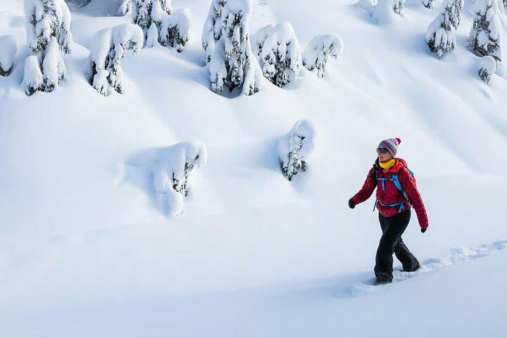 Tour de aventura con raquetas de nieve