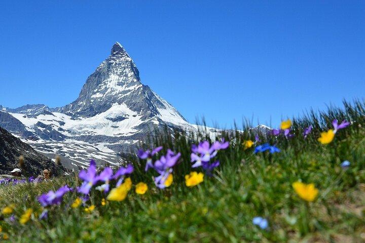 Privé dagtour naar Zermatt Village, Glacier Paradise vanuit Zürich