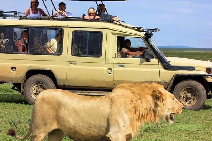 Tour privato del Parco Nazionale di Nairobi con jeep 4WD.