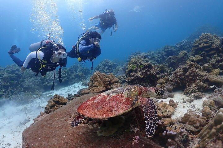 Phuket Dykning Racha Islands for alle niveauer
