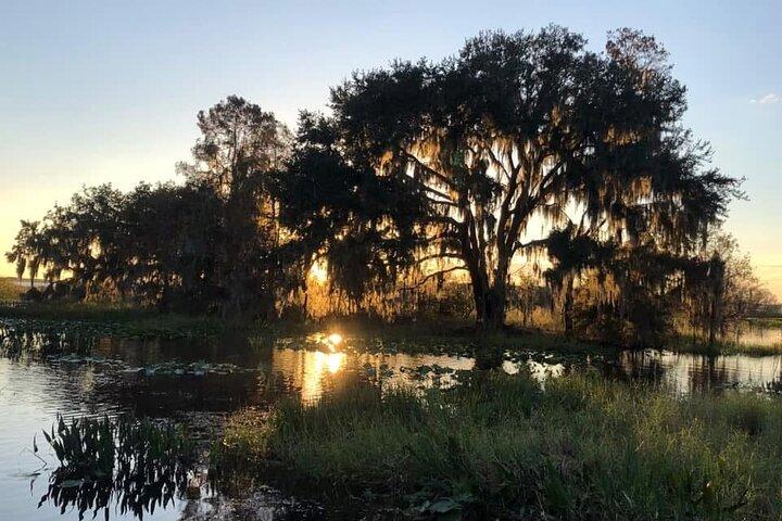 1 Stunde Florida Everglades Wildlife Tour