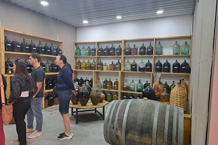プライベートサンアントニオ桟橋からバルパライソビーニャと空港送迎