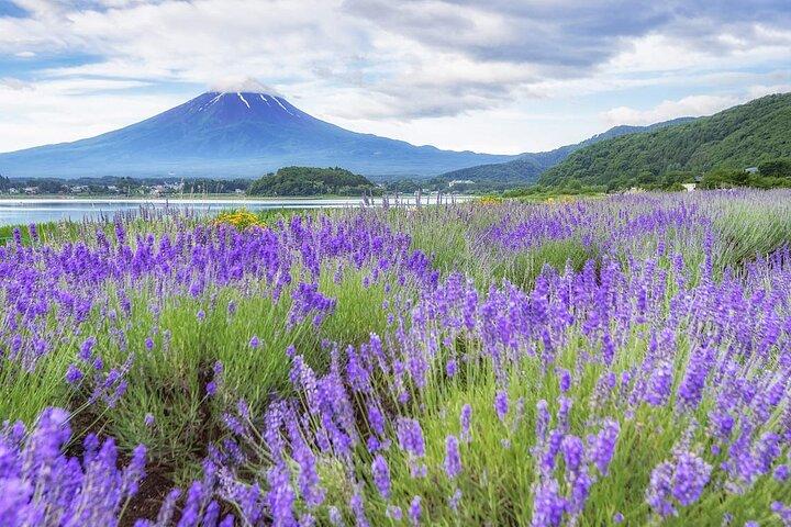 Excursão ao Monte Fuji Oshino Hakkai e Outlets Gotemba