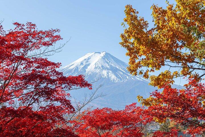 Excursão ao Monte Fuji Oshino Hakkai e Outlets Gotemba