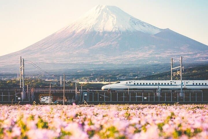 Tokyo to Mount Fuji Private Guided Experiences