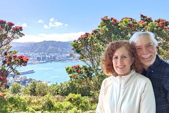 Spectacular Wellington: Full Day Private Sightseeing Tour