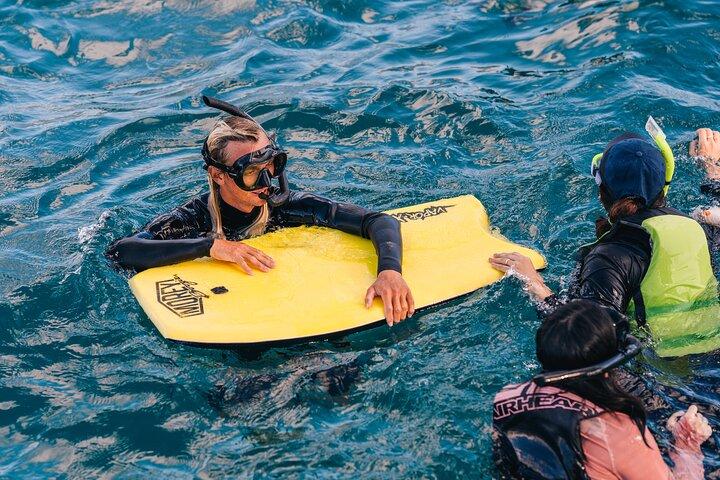 Ultimate Sunset Turtle Snorkeling Ocean Sports with Transport