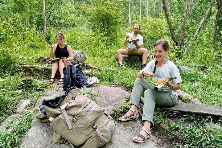 Bästsäljare | 2 - Day Jungle Trek : Elefanter, Raft & Karen Life